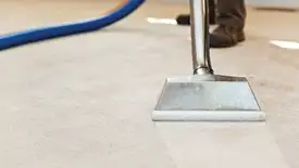 Carpet cleaning wand head gliding over a light carpet during hot-water extraction, Orange, CA.